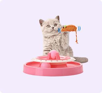 CAT TOY